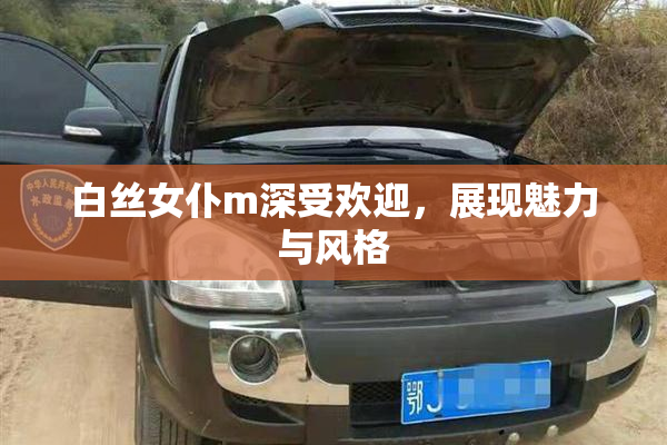 白丝女仆m深受欢迎，展现魅力与风格