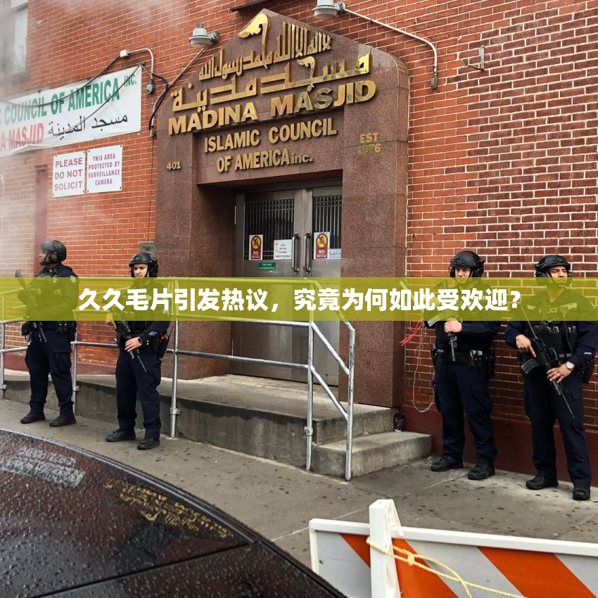 久久毛片引发热议，究竟为何如此受欢迎？