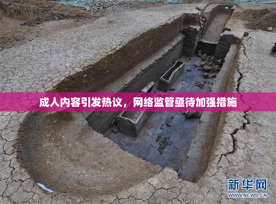 成人内容引发热议，网络监管亟待加强措施