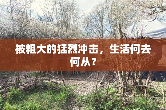 被粗大的猛烈冲击，生活何去何从？