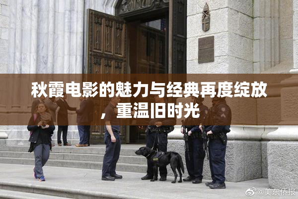 秋霞电影的魅力与经典再度绽放，重温旧时光