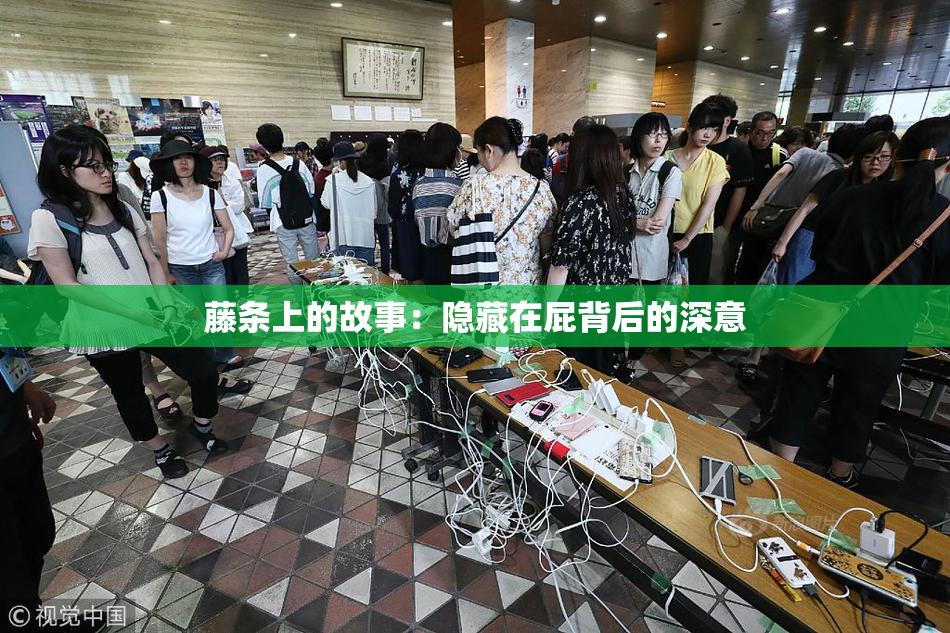 藤条上的故事：隐藏在屁背后的深意