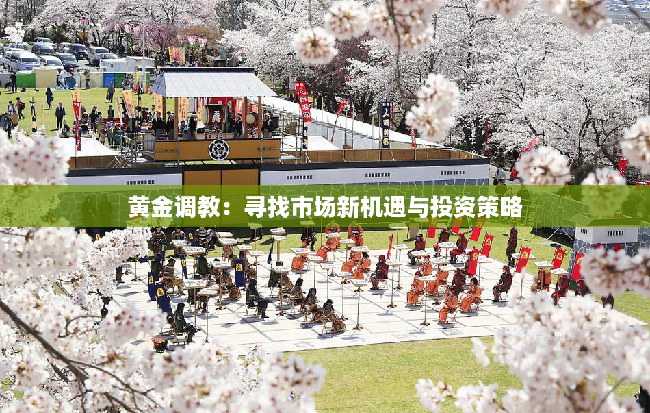 黄金调教：寻找市场新机遇与投资策略