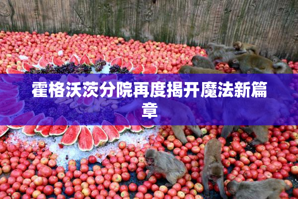 霍格沃茨分院再度揭开魔法新篇章