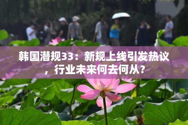 韩国潜规33：新规上线引发热议，行业未来何去何从？