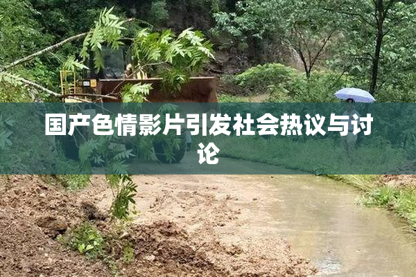 国产色情影片引发社会热议与讨论