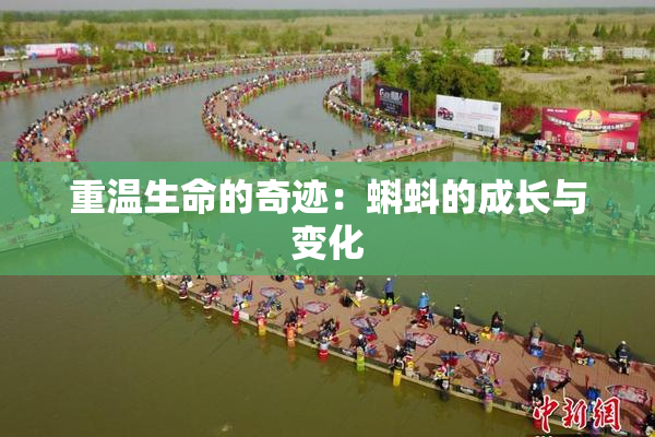 重温生命的奇迹：蝌蚪的成长与变化