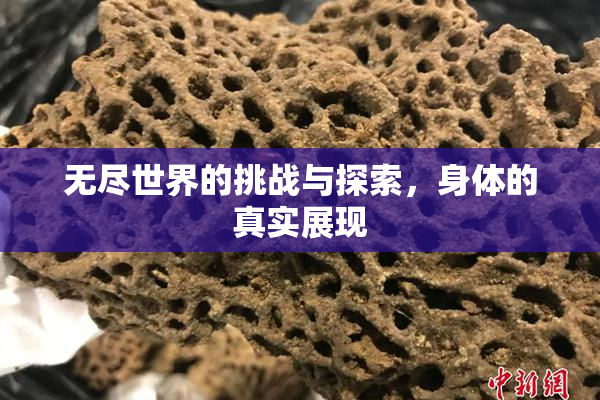 无尽世界的挑战与探索，身体的真实展现