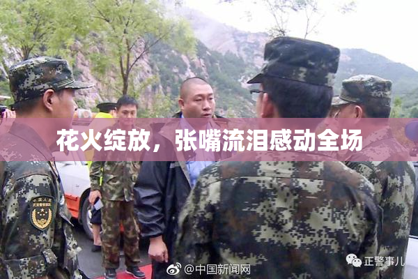 花火绽放，张嘴流泪感动全场