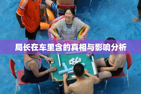 局长在车里含的真相与影响分析