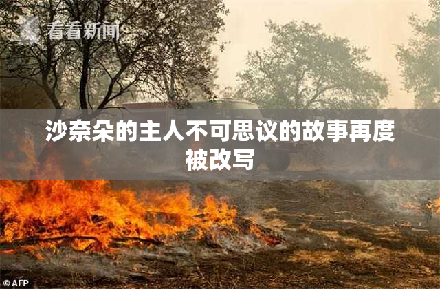 沙奈朵的主人不可思议的故事再度被改写