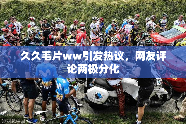 久久毛片ww引发热议，网友评论两极分化