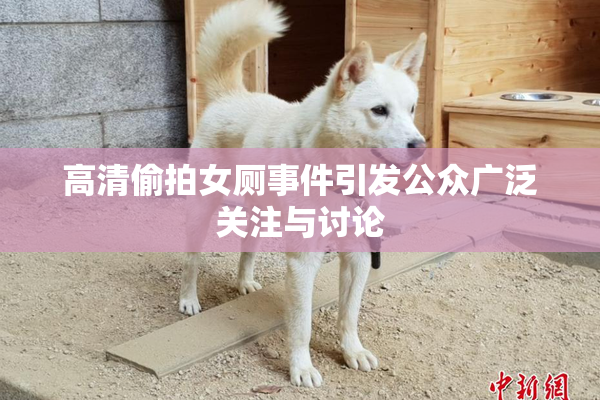 高清偷拍女厕事件引发公众广泛关注与讨论
