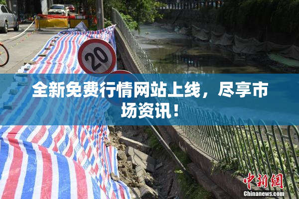 全新免费行情网站上线，尽享市场资讯！