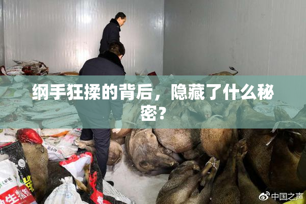 纲手狂揉的背后，隐藏了什么秘密？