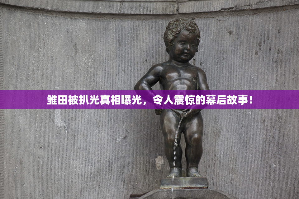 雏田被扒光真相曝光，令人震惊的幕后故事！