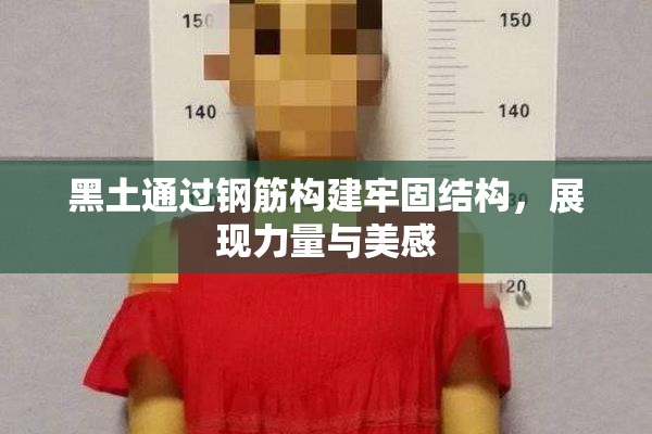 黑土通过钢筋构建牢固结构，展现力量与美感