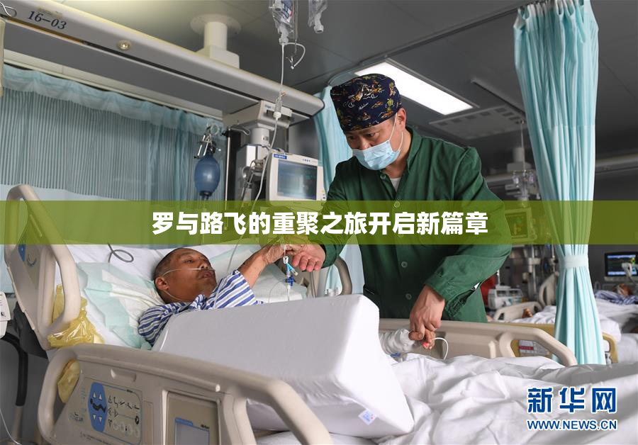 罗与路飞的重聚之旅开启新篇章