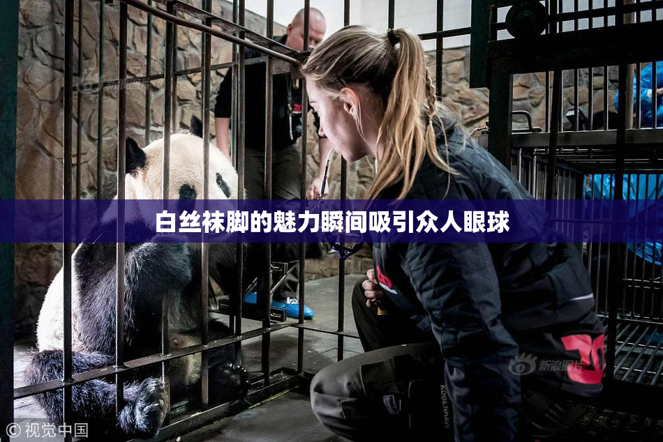 白丝袜脚的魅力瞬间吸引众人眼球