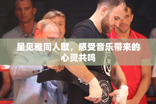 星见雅同人歌，感受音乐带来的心灵共鸣