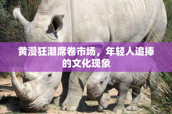 黄漫狂潮席卷市场，年轻人追捧的文化现象