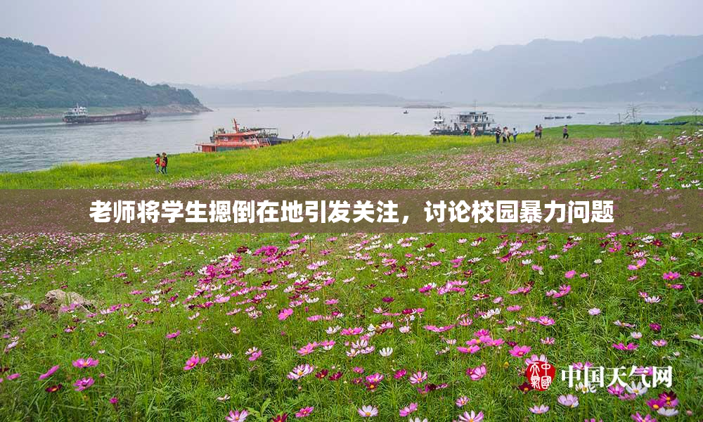 老师将学生摁倒在地引发关注，讨论校园暴力问题