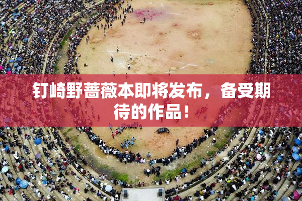 钉崎野蔷薇本即将发布，备受期待的作品！