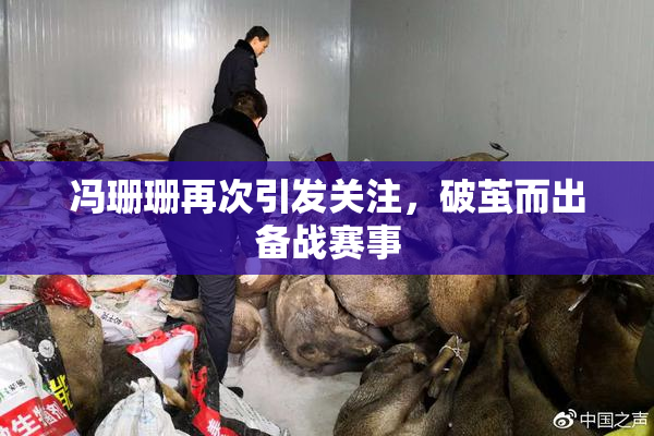 冯珊珊再次引发关注，破茧而出备战赛事