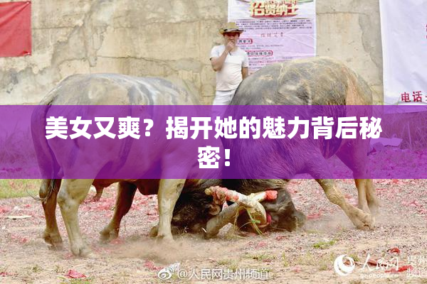 美女又爽？揭开她的魅力背后秘密！