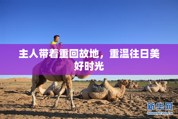 主人带着重回故地，重温往日美好时光