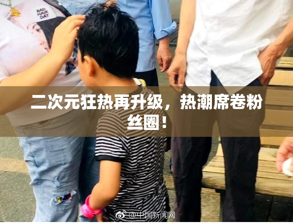 二次元狂热再升级，热潮席卷粉丝圈！
