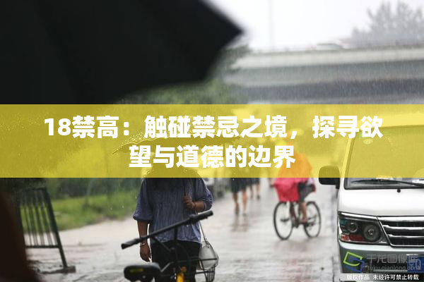 18禁高：触碰禁忌之境，探寻欲望与道德的边界