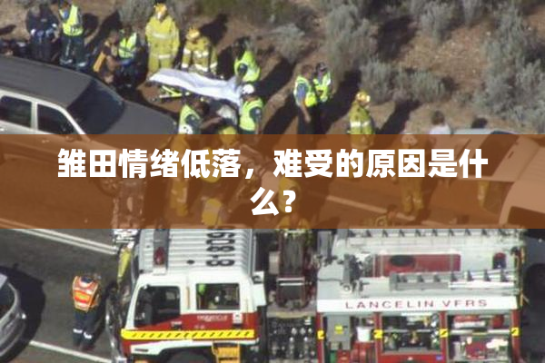 雏田情绪低落，难受的原因是什么？