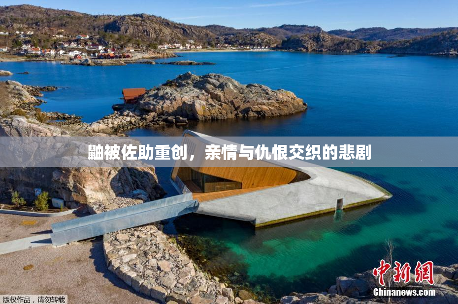 鼬被佐助重创，亲情与仇恨交织的悲剧