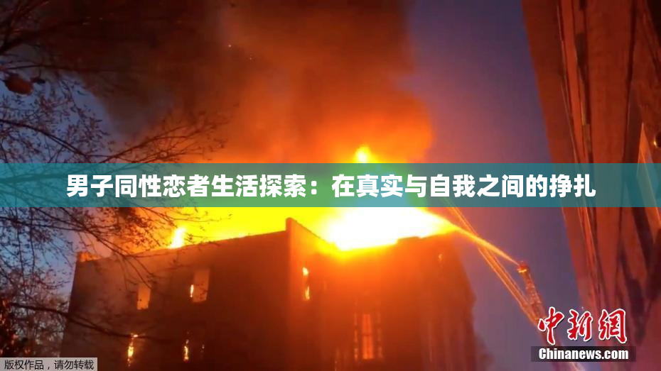 男子同性恋者生活探索：在真实与自我之间的挣扎