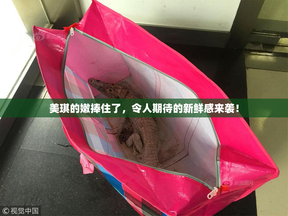 美琪的嫩捧住了，令人期待的新鲜感来袭！