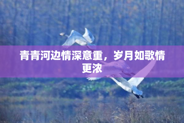 青青河边情深意重，岁月如歌情更浓