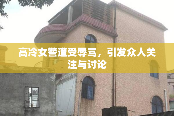 高冷女警遭受辱骂，引发众人关注与讨论