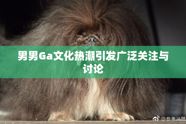 男男Ga文化热潮引发广泛关注与讨论