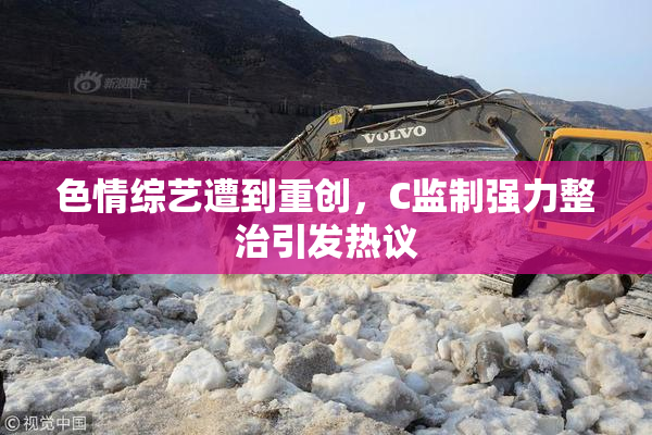 色情综艺遭到重创，C监制强力整治引发热议