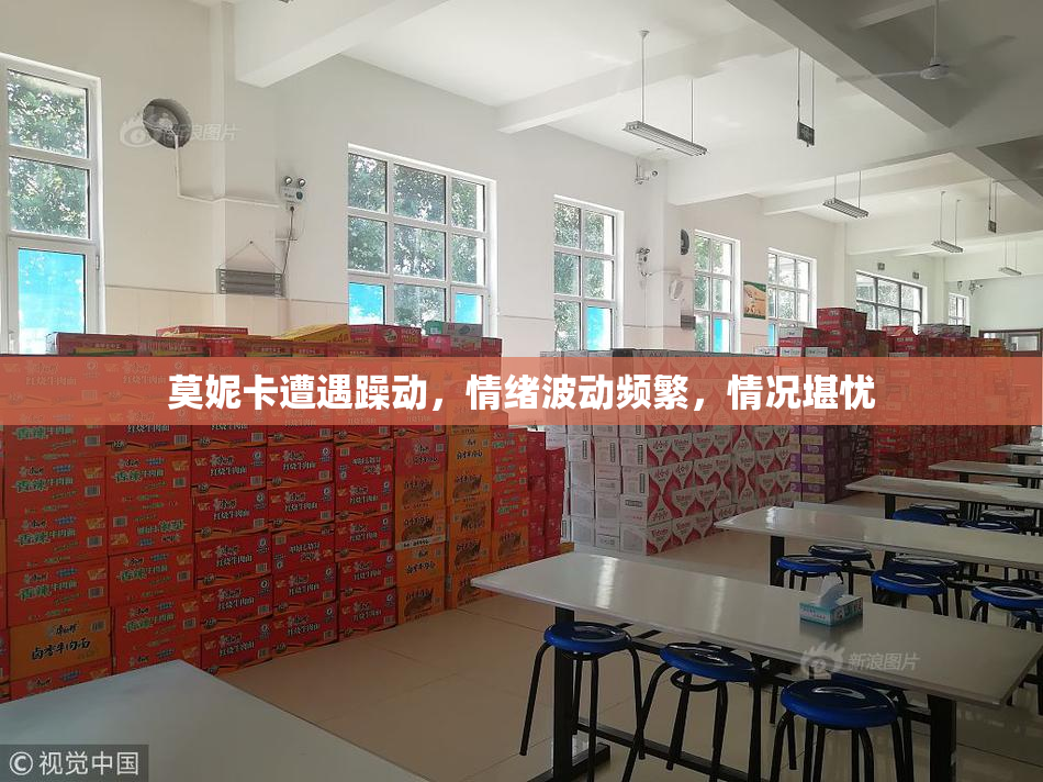 莫妮卡遭遇躁动，情绪波动频繁，情况堪忧