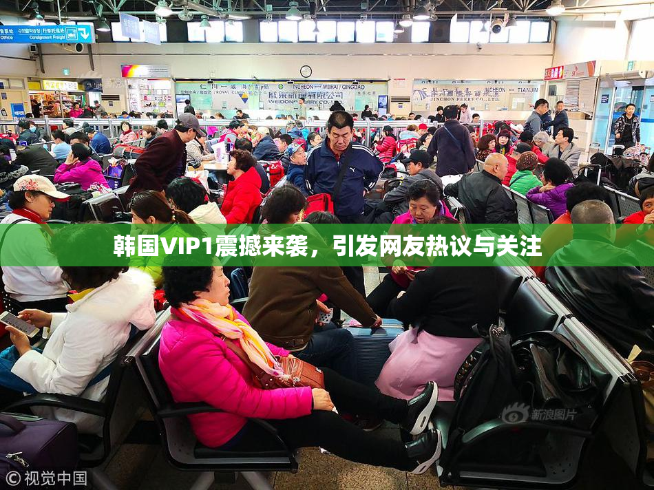 韩国VIP1震撼来袭，引发网友热议与关注