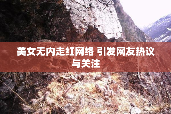 美女无内走红网络 引发网友热议与关注