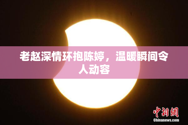 老赵深情环抱陈婷，温暖瞬间令人动容