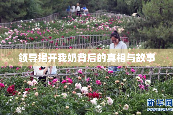 领导揭开我奶背后的真相与故事