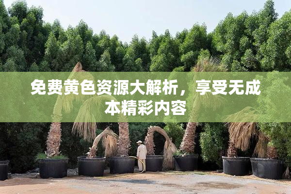 免费黄色资源大解析，享受无成本精彩内容