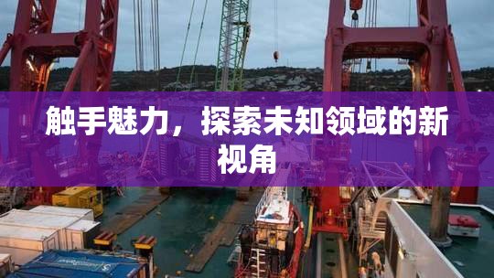 触手魅力，探索未知领域的新视角