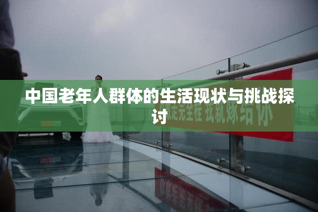 中国老年人群体的生活现状与挑战探讨