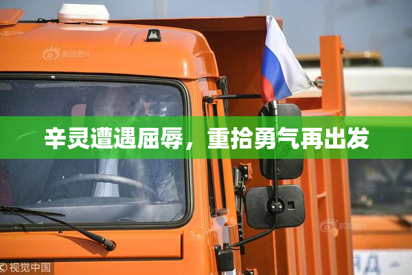 辛灵遭遇屈辱，重拾勇气再出发