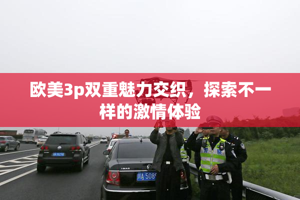 欧美3p双重魅力交织，探索不一样的激情体验